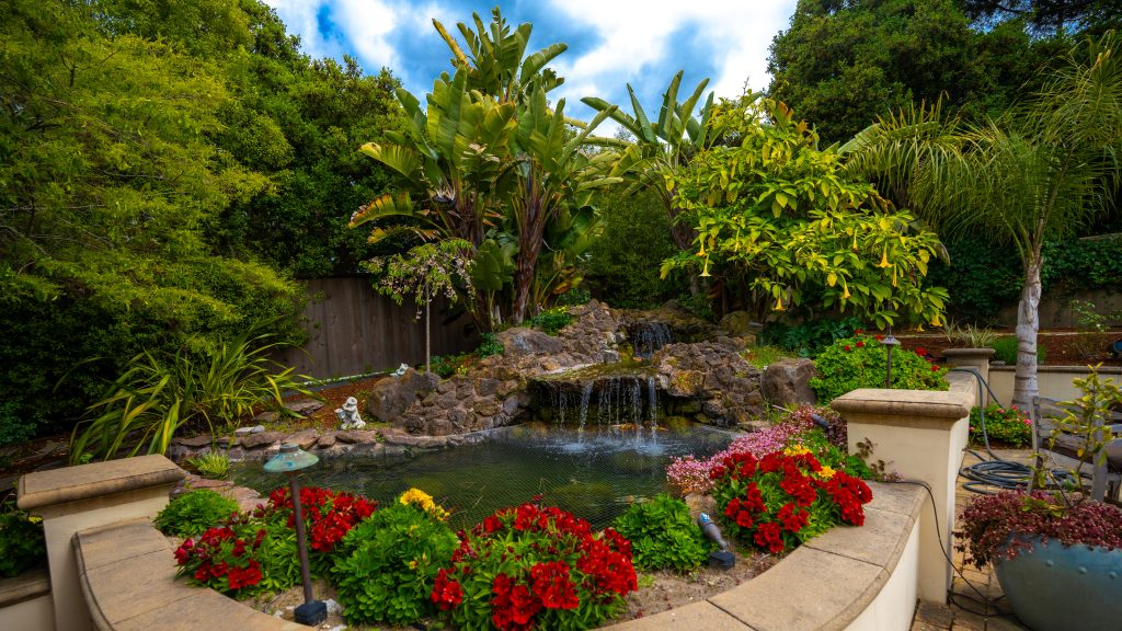 A water feature with a variety of plant life that all require different types of fertilizer.