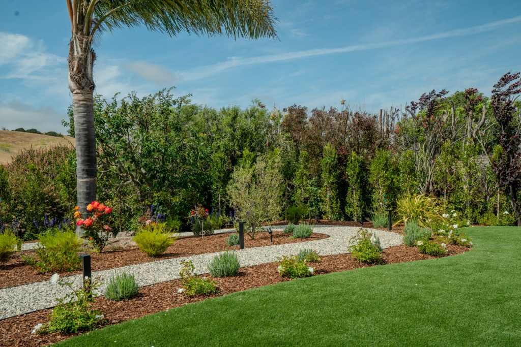 A curved, natural pathway with privacy hedges.