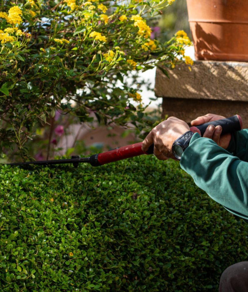 53bd06_b674279ed849431182fb671c8034b363~mv2